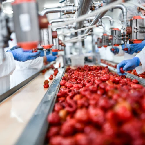 Food Processing