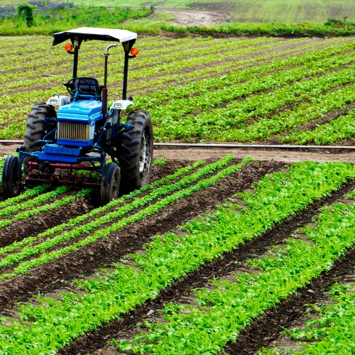 Agriculture